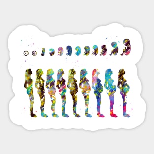 Pregnancy stages Sticker